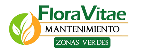Cliente Persi